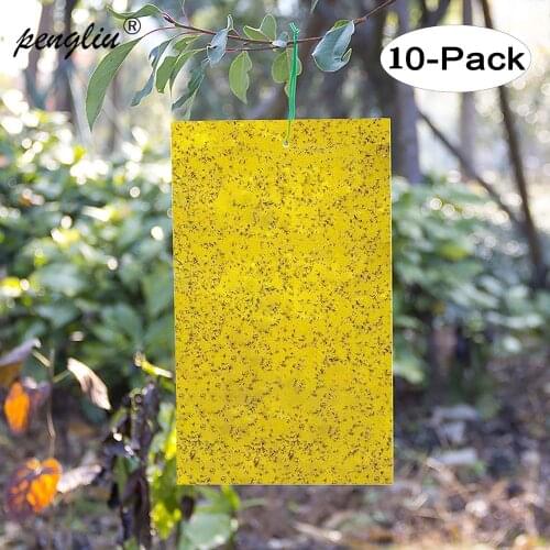 10pcs 20*25cm Strong Flies Traps Bugs Sticky Board Catching Aphid Insects Pest Killer Outdoor Fly Trap for Aphids Fungus GT122