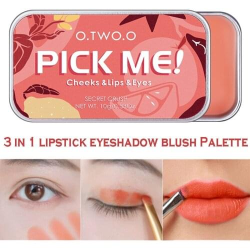 Multi-Use Makeup Palette 3 In 1 Nude Lipsticks Blush Eyeshadow Waterproof Natural Face Blusher Matte Lip Tint Eye Shadow Cream