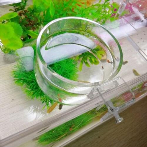 Portable Fish Feed Ring Fish Tank Feeder Feeding Circle Acrylic Feeders H58C