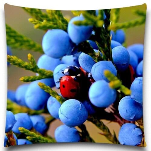 Ladybug in the Blueberry Cushion Cover For Sofa Decorative Throw Pillow Covers Cotton/Polyester Sofa Decor