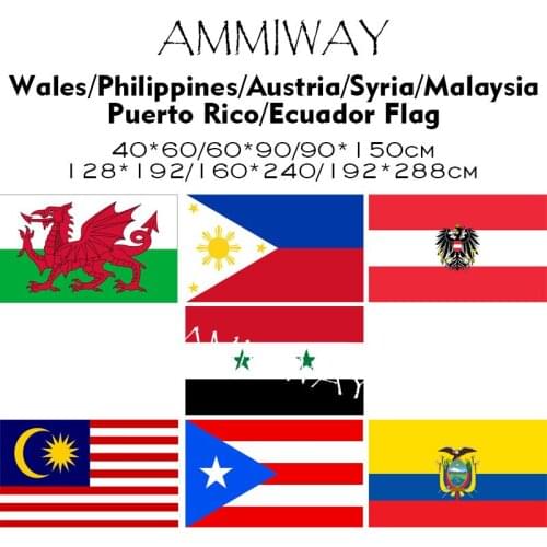 AMMIWAY Any Size Wales Philippines Austria Syria Malaysia Puerto Rico Ecuador National Country Single Double Flags and Banner