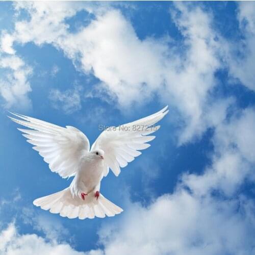 SKB-021 pigeon flying in the cloulds suspend pvc stretch ceiling film for home and ceiling decoration