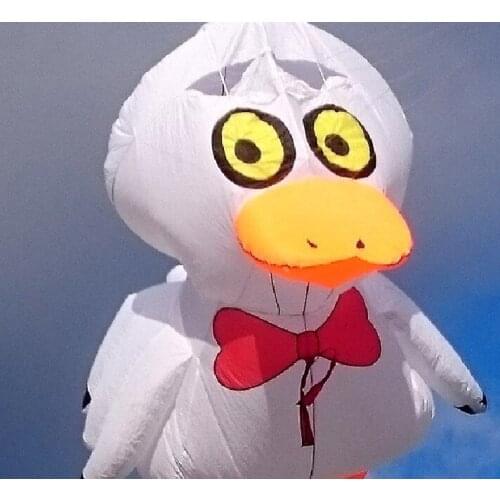 5m White Duck Kite