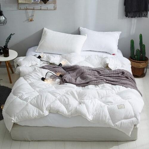 Solid Color Double Single Winter Quilt Washed Cotton Feather Velvet Thickened Warm Winter Spring And Autumn Household Quilt