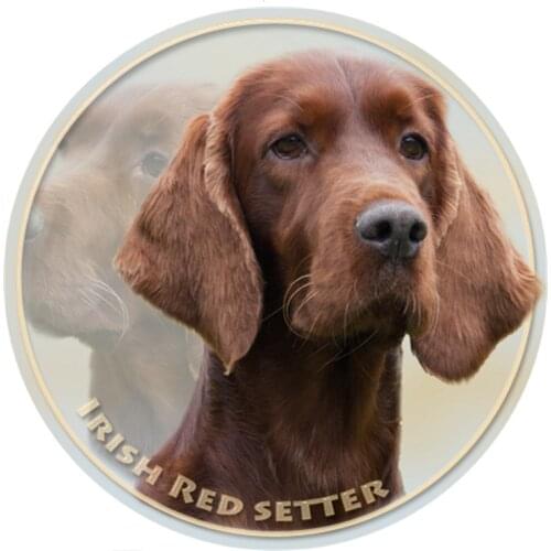 S40386# Various Sizes PVC Decal Irish Setter Dog Pet Animal Car Sticker For Bumper Rear Window Laptop Refrigerator Toilet