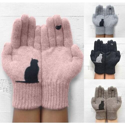 Ladies Woolen Gloves Female New Winter Outdoor Warmth Cold Protected Thick Plus Cat Bird Print Gloves Cute Pink Simple One Pair
