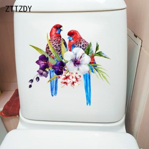 ZTTZDY 24.3CM×24.3CM Parrot Creative Cartoon Home Room Wall Decoration Toilet WC Stickers T2-0899