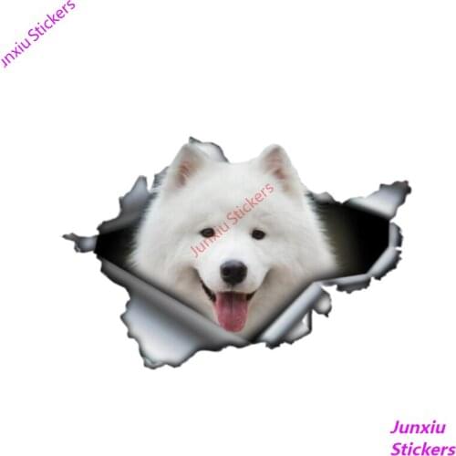 Samoyed Sticker 3D Pet Graphic Car Stickers and Decal for Car Bumper Window Laptop Animal Suv Interior car Decoration PVC13x9cm