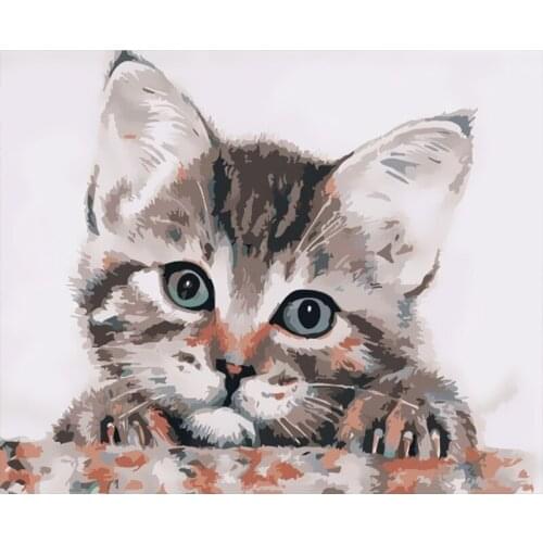 DIY HandPainted Oil Painting Paint By Numbers For Adults Children Landscape Cat Picture Paint Home Decoration Unique Gift