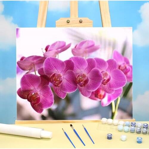 Flower Orchid DIY Painting By Numbers Complete Kit Oil Paints 50*70 Picture By Numbers Photo New Design Children Handiwork