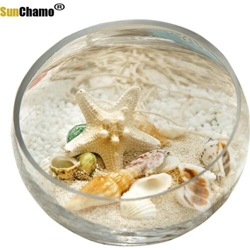 Nordic Mediterranean Coral Shell Vase Creative Ornament Bowl Lotus Duckweed Oblique Transparent Water Glass Vase Home Decoration