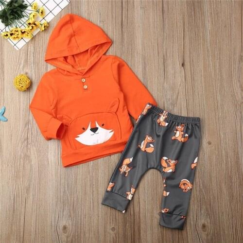 Toddler Baby Boys Kids clothes Long Sleeve Hooded pullover pocket Geometry Tops animal print Pants 2pc autumn lovely Outfits