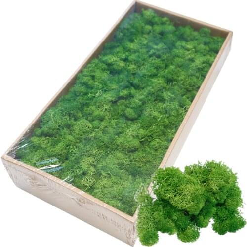 DIY Moss Wall Artificial Dried Natural Moss Preserved Floral Decorative Moss for Decorating Wall Home Decoration