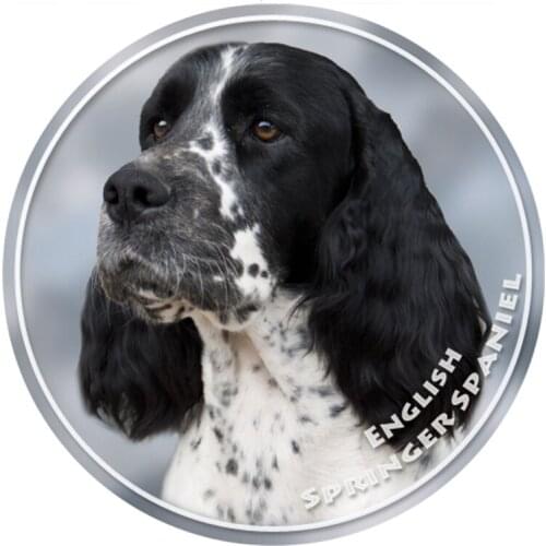 S40362# Various Sizes PVC Decal English Springer Spaniel Car Sticker For Bumper Rear Window Laptop Refrigerator Toilet