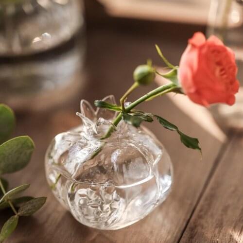Small Glass Vases Pomegranate Hydroponic Systems Glass Pot Nordic Home Decoration Flower Vases Terrarium Decor Living Room