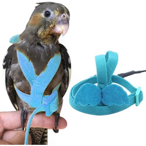 1PCS Bird Harness Adjustable Anti-bite Attractive Parrot Flying Rope Bird Leash Outdoor Training Traction Rope For Small Birds