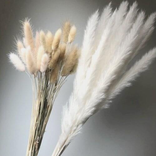 15Pcs Natural Home Table Dried Flowers Bouquet Real Pampas Grass Artificial Plants for Wedding Decoration Mariage Accessories
