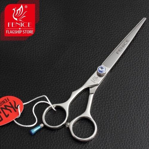 Fenice Interactive Toys