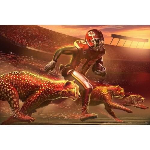 JMINE Div 5D American football Panther Sports Full Diamond Painting cross stitch kits art Portrait 3D paint by diamonds