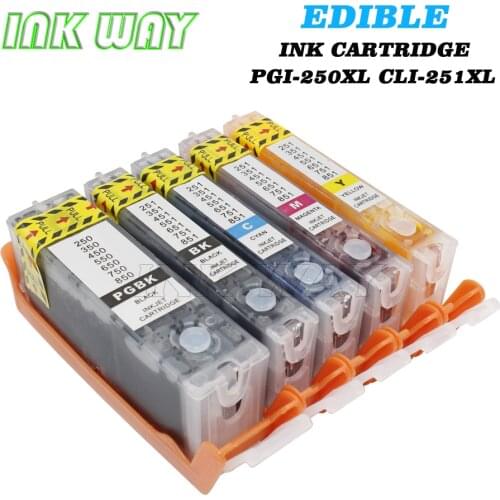 INK WAY 10 Pack PGI-250 CLI-251 CAKE PRINTING Edible ink Cartridge with one time chips