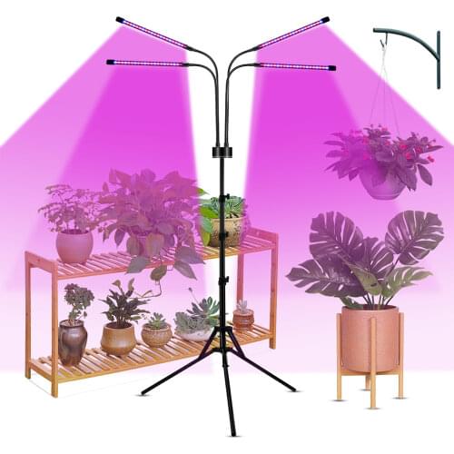 FTOYIN Professional Lighting