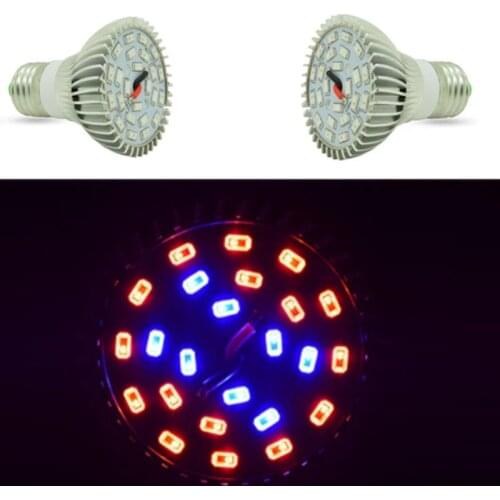 ZHONGLIXING Plant Lamps