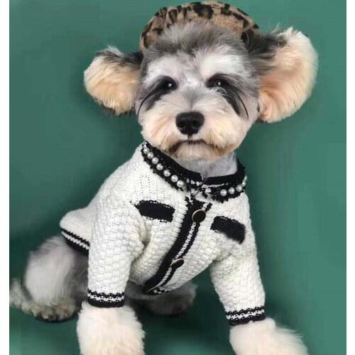 Dog Puppy Clothes Noble Dress Small Dog Pet Cat Costume Dog Dresses Wool Dog Cat Dress For Small Dog Spring Autumn Princess Co