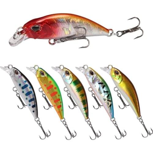 Dingdang cat Fishing Bait