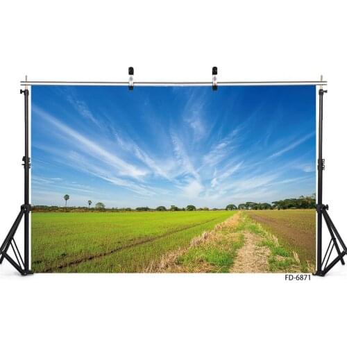 Spring Wheat Field Sky Cloud Photographic Background for Children Baby Portrait Backdrops Photo Studio Photo Shooting Photophone