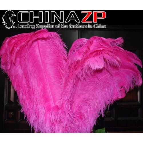 CHINAZP Factory Large Size from 28inch to 30inch (70-75cm) 50pcs/lot Top Quality Dyed Hot Pink Feather Ostrich