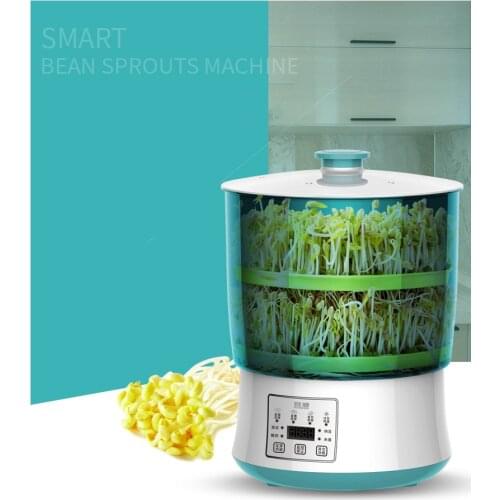 Pink Bunny Sprouters