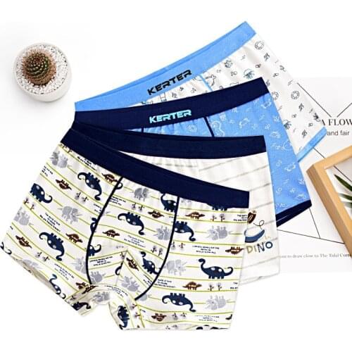 4pcs/lot High Quality Childrens Underwear For Kids Cartoon Cat Shorts Soft Cotton Underpants Boys Teenage Striped Panties 4-16T