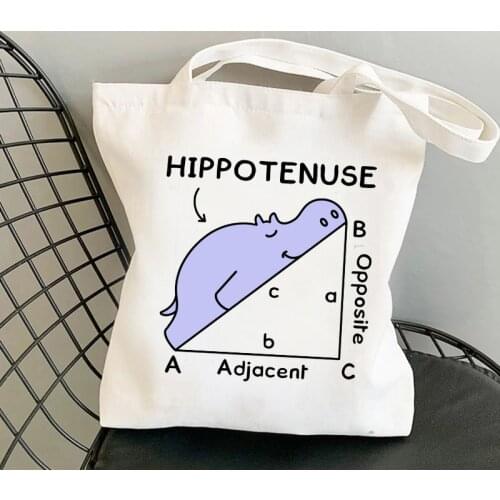 Hippotenuse Hypotenuse Triangle Geometry Math Print Bag Reusable Women Shopping Bag Daily Use Handbag Shopper Bag Shoulder Bags