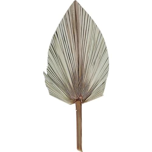 Fan Leaves Palm Leaf Dried Flower Wedding Arch Arrangement Wall For Window Reception Party Art Hanging Decoration