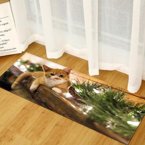 Animal Pattern Print Bathroom Kitchen Carpet Hallway Balcony Welcome Floor Mat House Home Doormats Rug Living Room Anti-Slip Rug