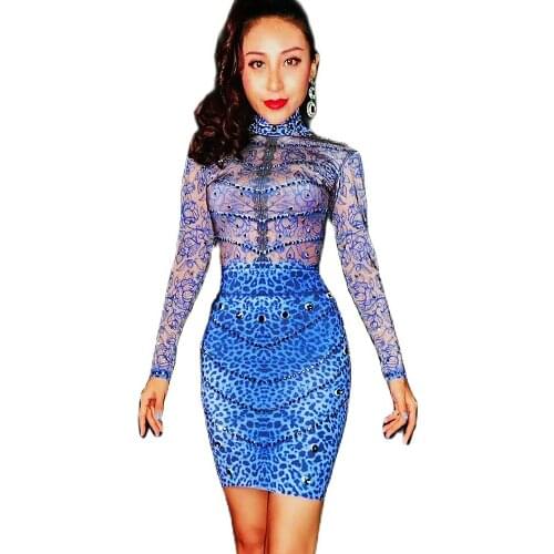 Long Sleeve Blue Leopard Pattern Printed Dress Evening Prom Party Diamond Birthday Celebrate Mini Dress Nightclub Costume