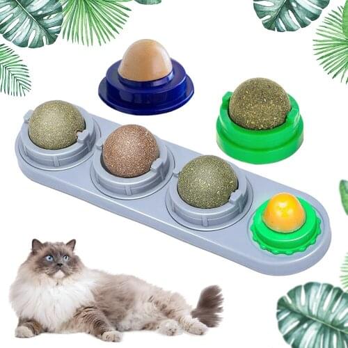 Keep Cat Healthy Nutrition Cats Cleaning Teeth Natural Treats Play Solid Safe Solid Ball Toys Sucker Energy Candy Licking Catnip