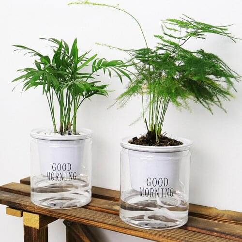 Self-watering Flowerpot Automatic Water Absorption Succulent Aquaculture Transparent Round Plastic Hydroponic Flowerpot