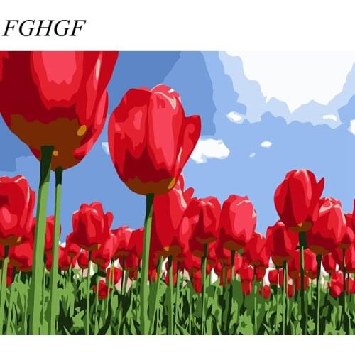 FGHGF New Frameless Pictures Painting By Numbers Home Decor Hand Painted Oil On Canvas Red Flower Wall Art