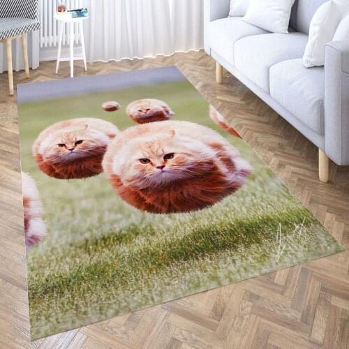 Funny Cat Hover Meme Carpet for Living Room 3D Anime Cartoon Rug Gamer Teen Room Bedside Lounge Rug Kids Children Floor Mats