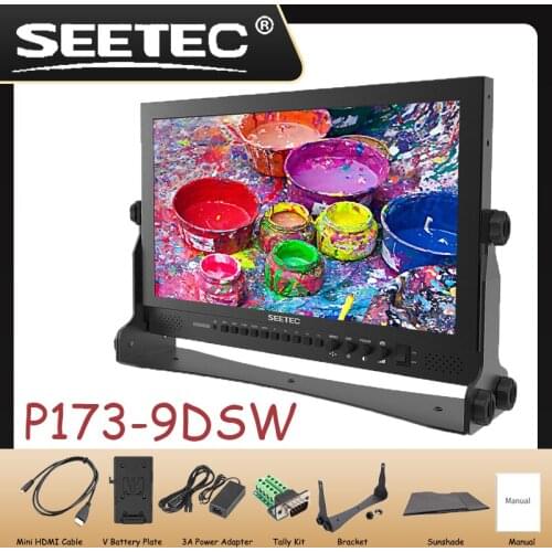 17.3" 3G-SDI/ HDMI Production Monitor with FHD 1920x1080 Waveform Vector Scope Histogram P173-9DSW
