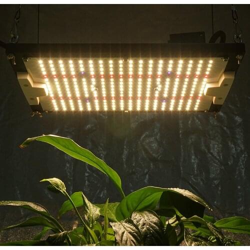Samsung Quantum Board LED Plant Lamps