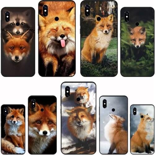 Animal Raccoon Fox Phone Case For Xiaomi Mi A1 A2 5 6 6PLUS 8 9 SE Lite MIX 2 2S MAX 2 3 Pocophone F1
