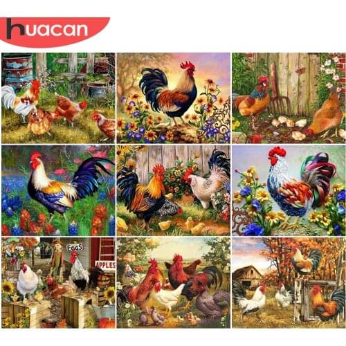 HUACAN Oil Painting By Number Cock Animal Kits For Adults Handpainted DIY Coloring By Number Animal Rooster On Canvas Home Decor