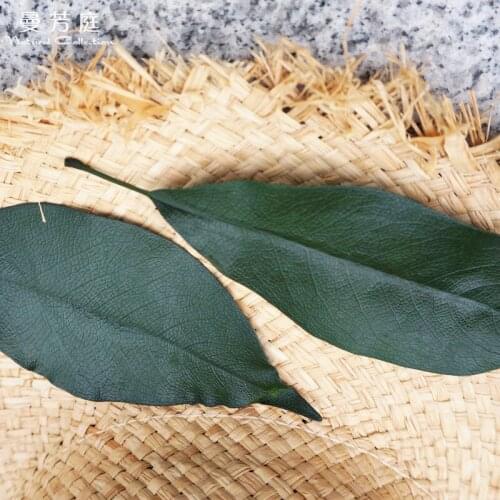20pcs,Natural Fresh Eternal Leaves,Preserved Needle leaf For DIY Wedding invitations and Craft Photo Frame Bookmark Gift Card