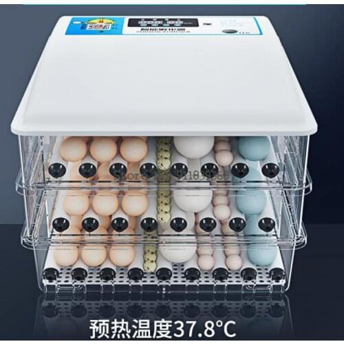 Water Bed Incubator Small Household Chicken Duck Goose Seedling Incubator Full Automatic Intelligent Constant Temperatur