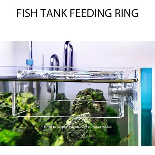 S/L Acrylic Fish Tank Feeding Circle with Suction Cups Portable Fish Tank Feeder Ring Fish Food Anti-Floating Accessories