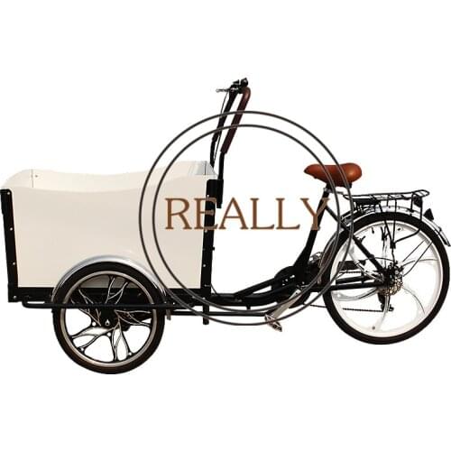 Electric Adult Tricycle Family Cargo Bike Aluminium Frame 6 Gear Speeds Drift Trike for Grocery Shopping and Children Transport