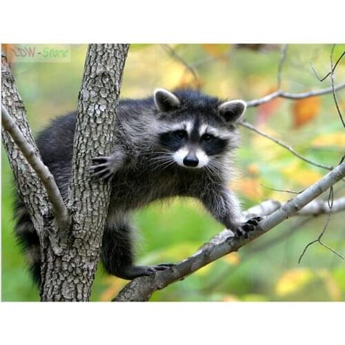 Full Square/round 5D DIY Diamond Painting "raccoon on the tree" Embroidery Cross Stitch Rhinestone Mosaic Decor Gift NEW373