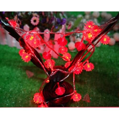 Outdoor decorative lantern Plug Garden string romantic atmosphere lamp red Lantern New Year festive lighting CD50 W02